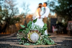 outdoor wedding area