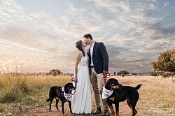 Bridal couple with dogs